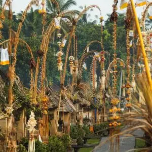 Bali & Gili: avventure tra templi e spiagge tropicali - Giorno 4: Cascate e tradizioni