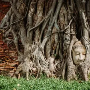 Thailandia: tra templi dorati e Phi Phi Island - Giorno 5: Ayutthaya, antica capitale