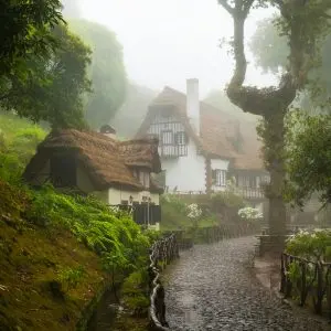 Madeira: tra scogliere, cascate e piscine naturali - Giorno 6: Alte quote e levada iconica