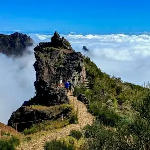 Madeira: tra scogliere, cascate e piscine naturali - Giorno 6: Alte quote e levada iconica