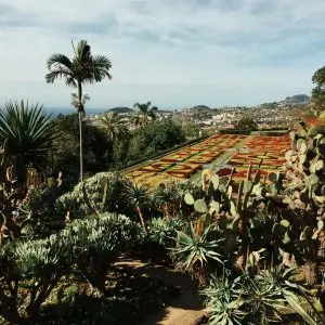 Madeira: tra scogliere, cascate e piscine naturali - Giorno 2: Funchal tra sapori, storia e giardini